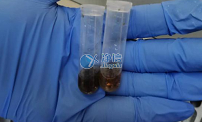 上海凈信高通量研磨儀能否助力蟲媒病毒研究實驗？