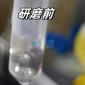 必看！全自動浸入式液氮冷凍研磨儀高效研磨小鼠肝臟提取DNA實操指南