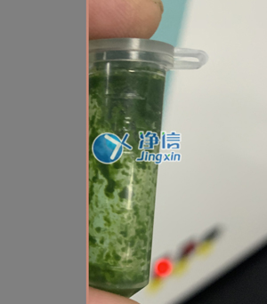 冷凍研磨儀在對甘蔗葉片提取DNA實驗中研磨樣本效果如何？