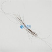 上海凈信研磨頭發(fā)樣品新突破！快速鑒定疑犯是否吸毒