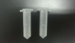 使用多樣品組織研磨儀-24進(jìn)行研磨指甲超詳細(xì)實驗步驟講解