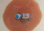 實(shí)驗(yàn)室常用研磨儀器是什么？組織研磨儀常用嗎？